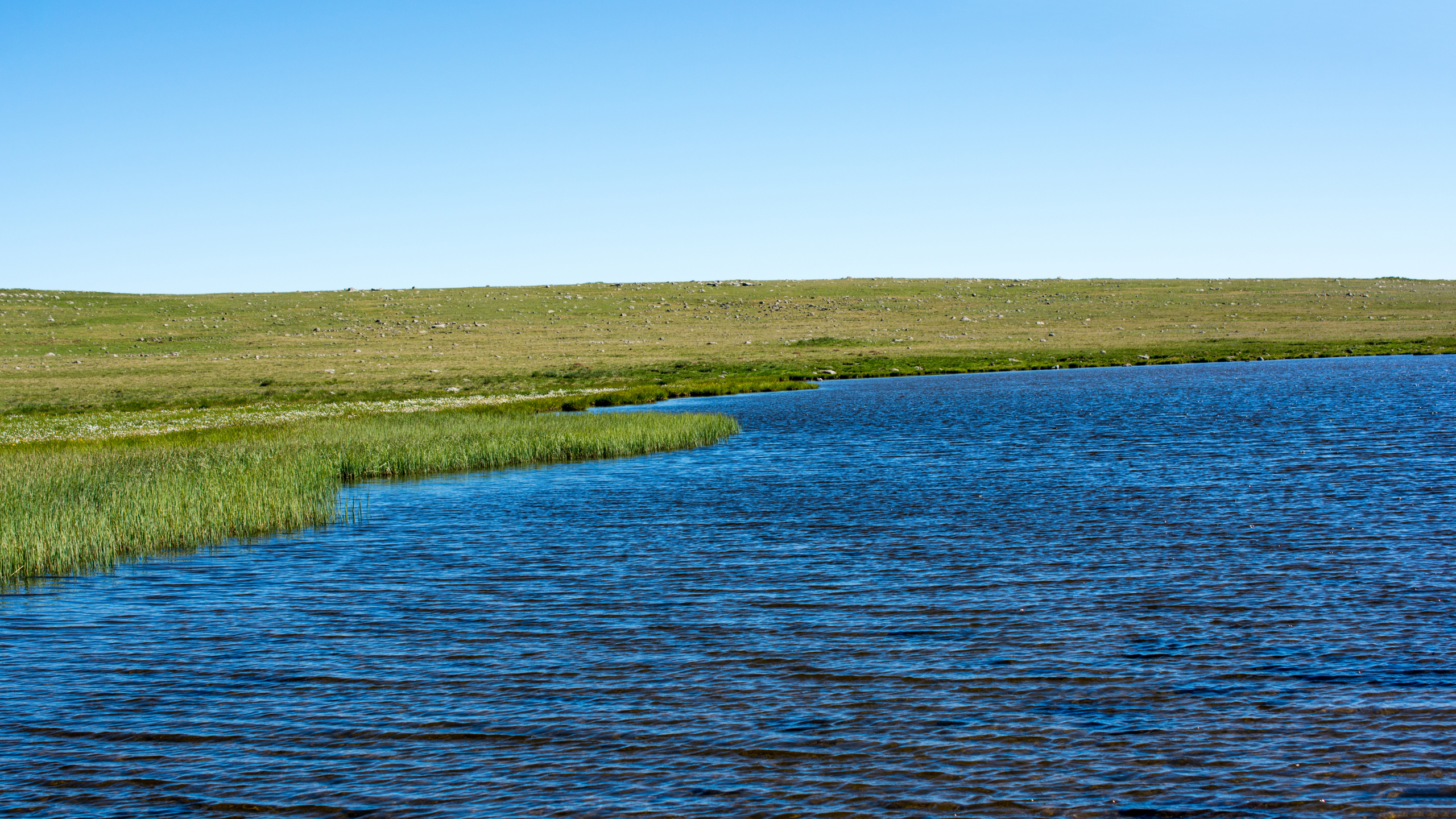 Clean water options
